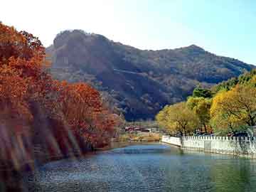 新澳天天开奖资料大全旅游团，风流傀儡师